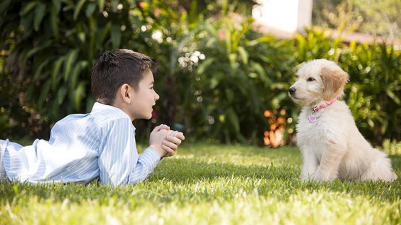 Γιατί το να μιλάς στον σκύλο σου είναι ότι καλύτερο;