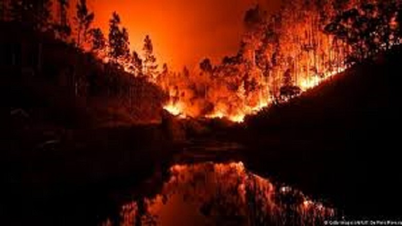 Μαίνονται οι δασικές πυρκαγιές στην Πορτογαλία
