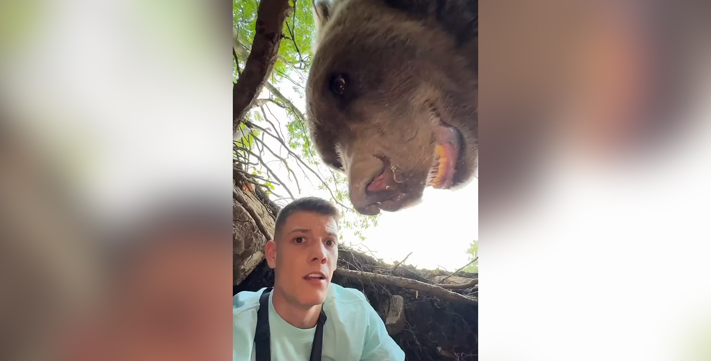 Συνάντηση στη φωλιά της αρκούδας…