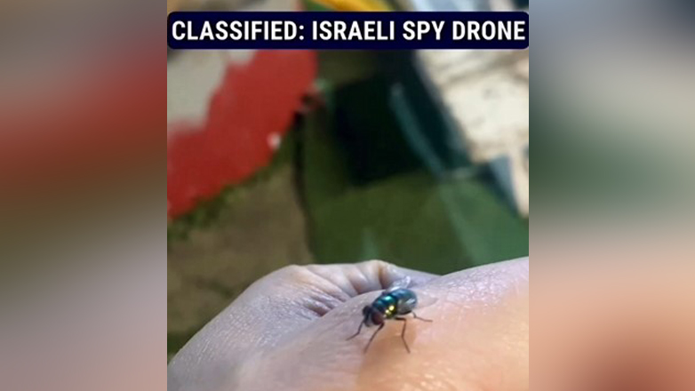 Μύγα- drone: Το νέο κατασκοπευτικό όπλο του Ισραήλ