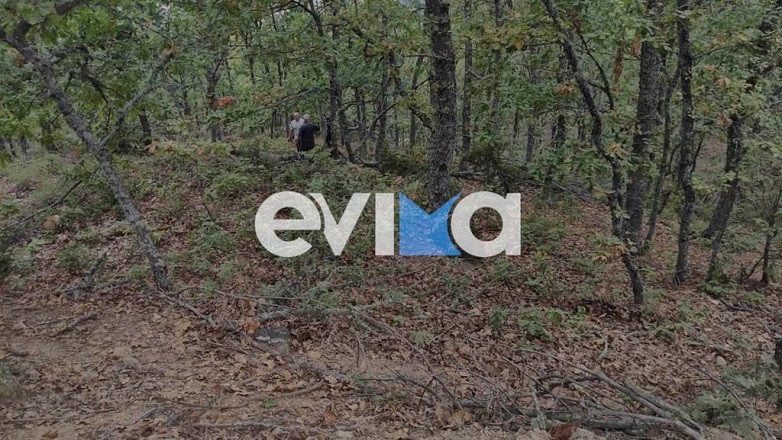 Τραγωδία στην Εύβοια: Δέντρο καταπλάκωσε δασεργάτη