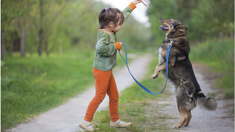«Αυστηρώς ακατάλληλες» για οικογένειες με παιδιά, αυτές οι ράτσες σκύλων