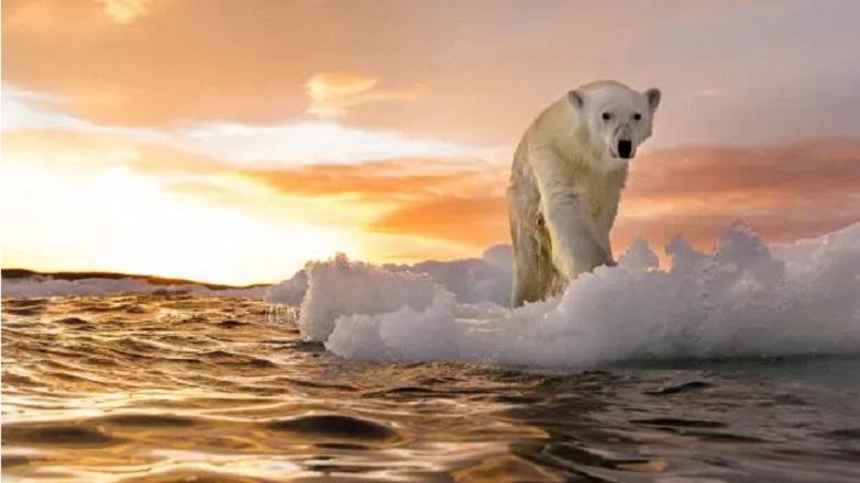 Κλιματική αλλαγή: Δυσοίωνες προβλέψεις για τα αστικά κέντρα
