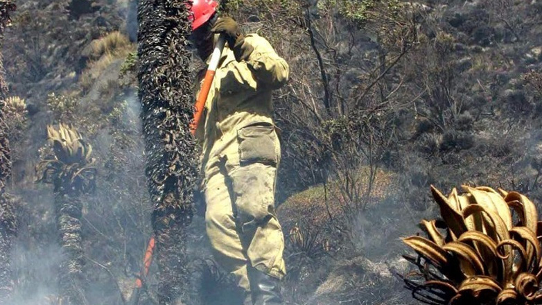 Κολομβία: Οι πυρκαγιές εξαπλώθηκαν σε επτά νομούς
