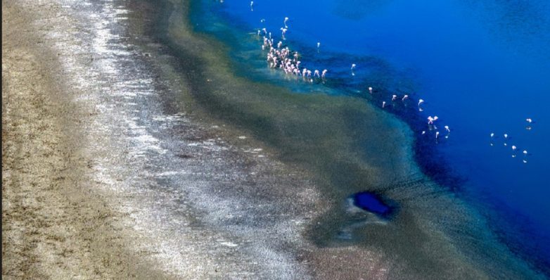 «Πέφτει» η στάθμη στη λίμνη Κορώνεια «Πέφτει» η στάθμη στη λίμνη Κορώνεια