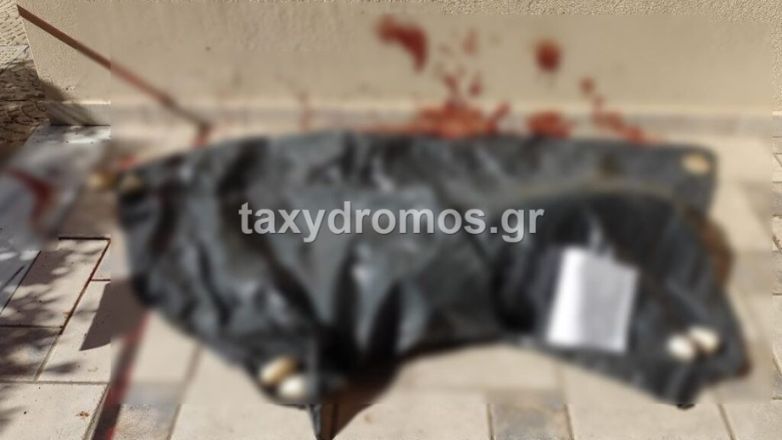 Κτηνωδία στον Βόλο: Κατακρεούργησαν αδέσποτο σκύλο σε πυλωτή