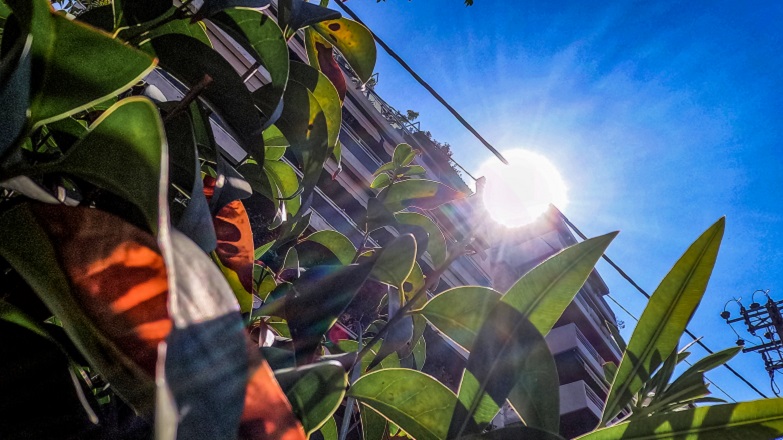 Καλοκαιρινός καιρός και μετά … «βίαιη μεταβολή»