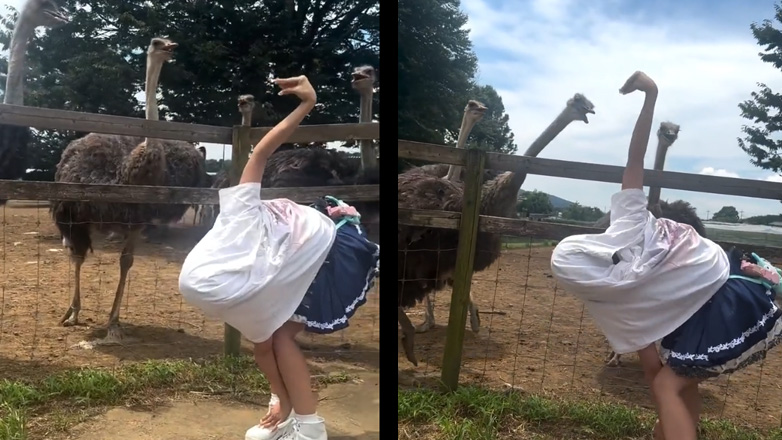 Kορίτσι μιμείται μια στρουθοκάμηλο