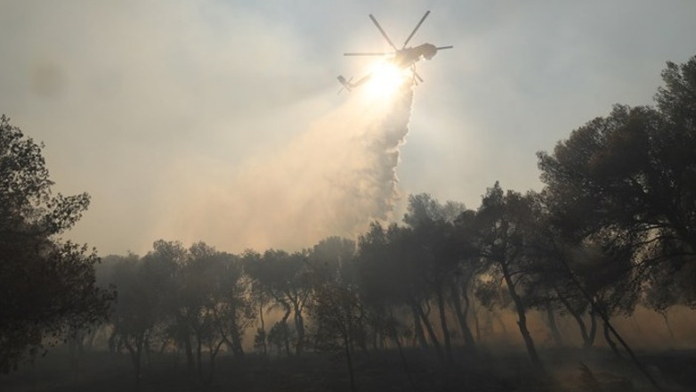 Ηλεία: Διάσπαρτες εστίες αντιμετωπίζουν οι πυροσβεστικές δυνάμεις στη φωτιά στο Γεράκι