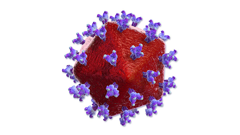 Και 7ο άτομο με HIV πιθανότατα θεραπεύτηκε μετά από μεταμόσχευση βλαστικών κυττάρων για λευχαιμία, λένε οι επιστήμονες