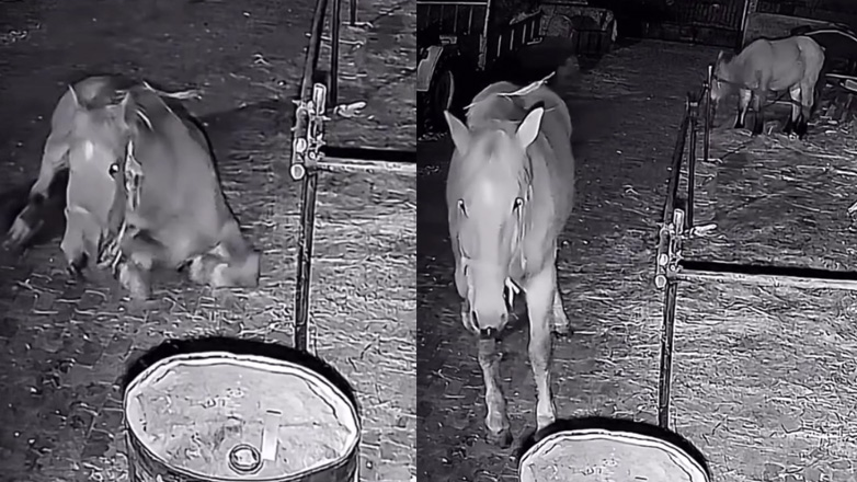 Η τέλεια απόδραση