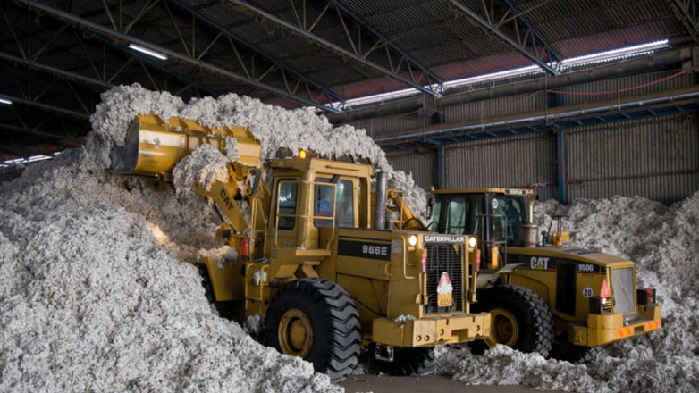 Φρικτός θάνατος 25χρονης σε εκκοκκιστήριο