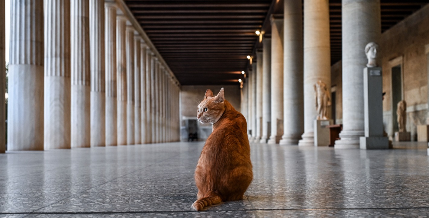Στοά Αττάλου – Χώρος Αρχαίας Αγοράς
