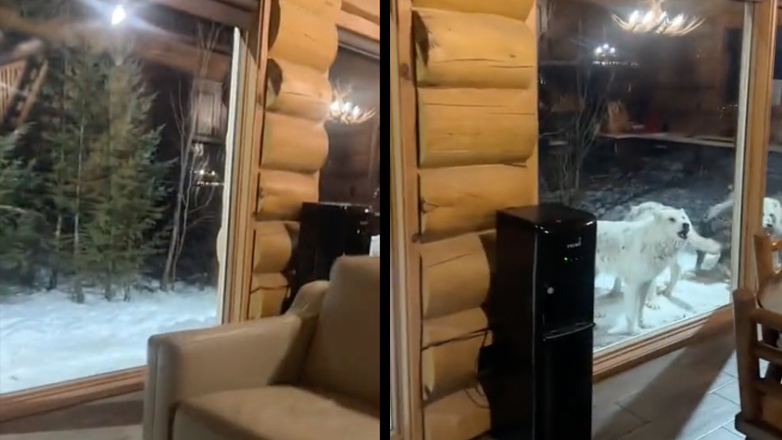 Ξυλόσπιτο στα βουνά του Καναδά