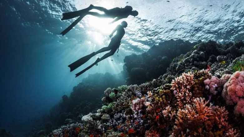 Πρόσκληση υποβολής αιτήσεων ενίσχυσης στον καταδυτικό τουρισμό