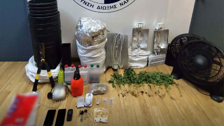Κυψέλη: Εντοπίστηκε σε σπίτι πλήρως εξοπλισμένο εργαστήριο καλλιέργειας κάνναβης