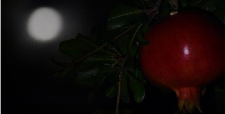 Πανσέληνος Οκτωβρίου: Το φεγγάρι του κυνηγού Πανσέληνος Οκτωβρίου: Το φεγγάρι του κυνηγού