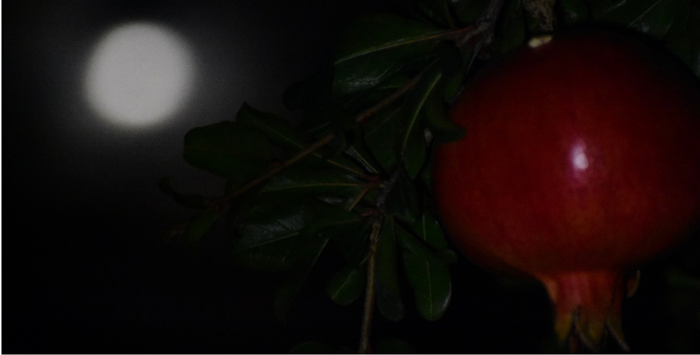 Πανσέληνος Οκτωβρίου: Το φεγγάρι του κυνηγού