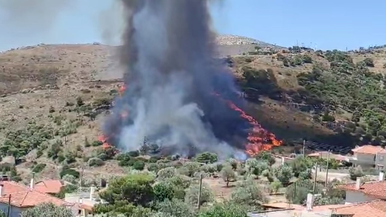 Συνελήφθη 87χρονος για τη φωτιά στην Κερατέα Συνελήφθη 87χρονος για τη φωτιά στην Κερατέα
