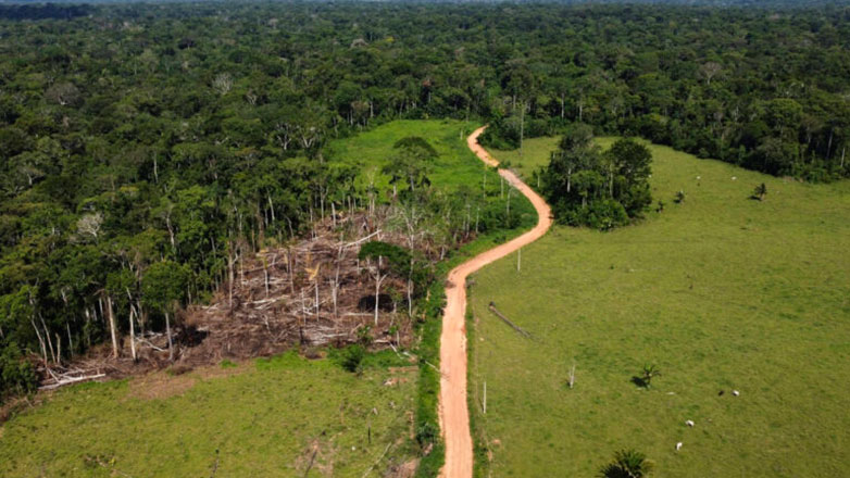 Κολομβία: 361 υπερασπιστές του περιβάλλοντος δολοφονήθηκαν σε έξι χρόνια