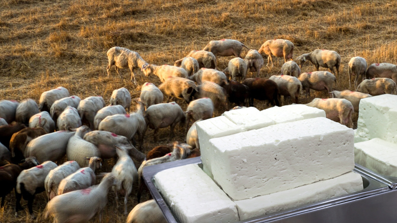 Η σφαγή των αμνών και των … καταναλωτών