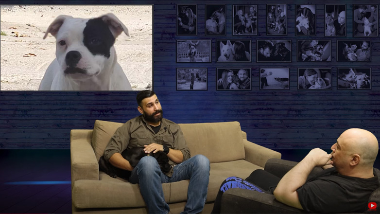 Staffordshire Bull Terrier πώς από «κυνομάχος» σήμερα χαρακτηρίζεται νταντά παιδιών