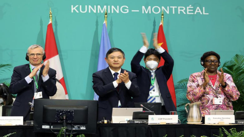 Cop16 : Τα μεγάλα ζητήματα που θα καθορίσουν τις συνομιλίες στη σύνοδο κορυφής του ΟΗΕ της Κολομβίας