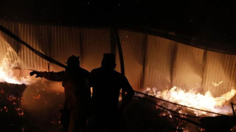 Ξεπερνούν τα 11 εκατ. ευρώ οι αποζημιώσεις των ασφαλιστικών εταιρειών για τις δασικές πυρκαγιές του Αυγούστου