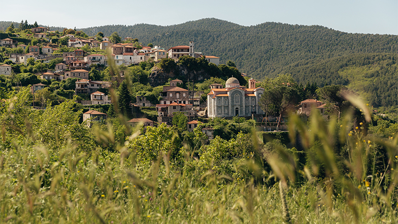 Νοέμβριος γεμάτος εκπλήξεις στη Βαμβακού Λακωνίας