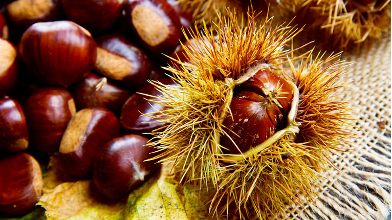 Ξεμένει από κάστανα η Ελλάδα λόγω ξηρασίας