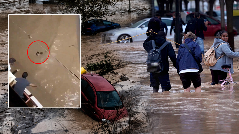 Ανείπωτη τραγωδία στην Ισπανία – Τουλάχιστον 64 νεκροί από τις πλημμύρες Ανείπωτη τραγωδία στην Ισπανία – Τουλάχιστον 64 νεκροί από τις πλημμύρες