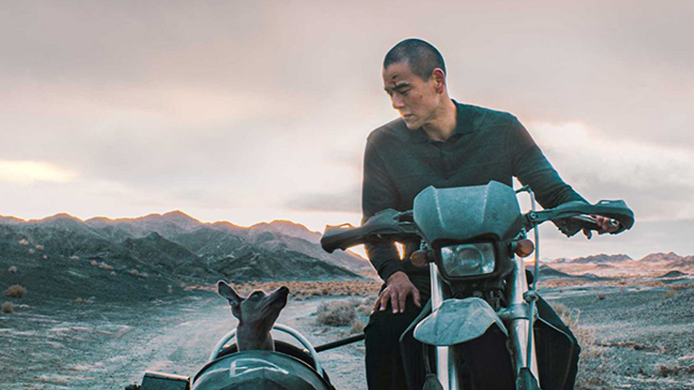 Νέες ταινίες: Tρόμος, θρίλερ, φεστιβαλικά και animation