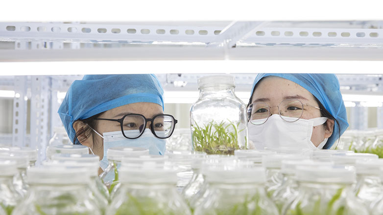 Η Κίνα έχει γίνει επιστημονική υπερδύναμη