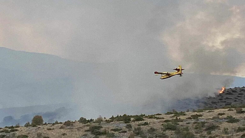 Πρέβεζα: Φωτιά σε δασική έκταση