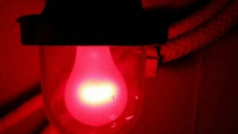 Συλλήψεις για παράνομη λειτουργία οίκων ανοχής