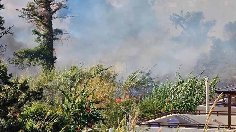 Χανιά: Φωτιά στον Πλατανιά Χανιά: Φωτιά στον Πλατανιά