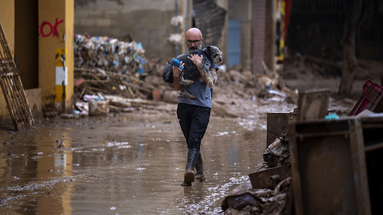 Βαλένθια: Εθελοντές έφτιαξαν σταθμό πρώτων βοηθειών για κατοικίδια