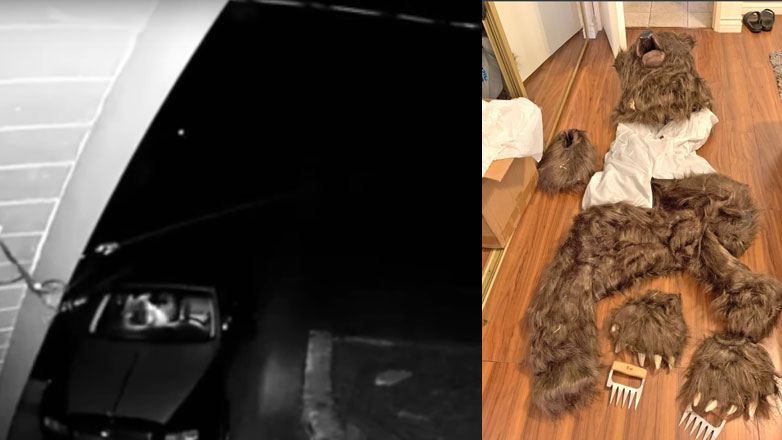 Απίστευτο: Ντύθηκαν αρκούδες και επιτέθηκαν στα Ι.Χ. τους για να πάρουν λεφτά από την ασφαλιστική (Βίντεο)