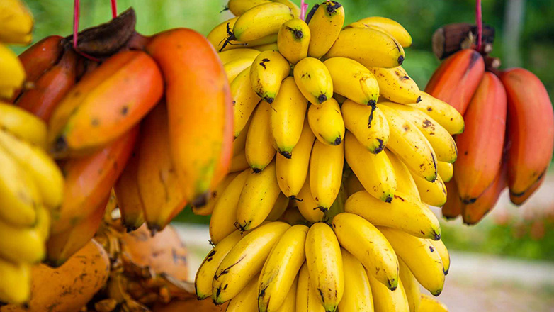 Σουηδή υπουργός πάσχει από…μπανανοφοβία