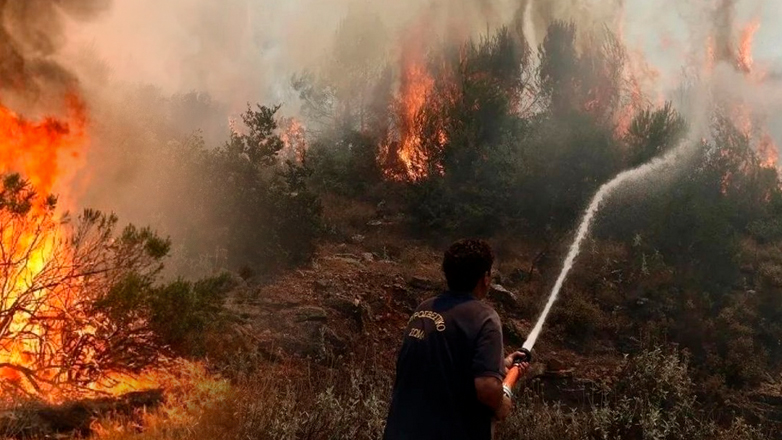 Υπό μερικό έλεγχο η πυρκαγιά στον Αλίαρτο Βοιωτίας