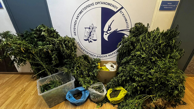 Καλλιεργούσε υδροπονική κάνναβη σε μονοκατοικία στα Καλύβια Αττικής