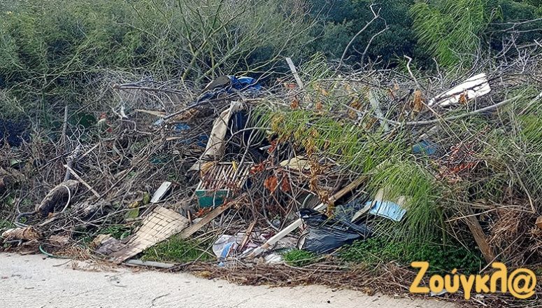 Πόρτο Ράφτη: Μπάζα και ξερόκλαδα δίπλα στα δέντρα από τον Απρίλιο Πόρτο Ράφτη: Μπάζα και ξερόκλαδα δίπλα στα δέντρα από τον Απρίλιο