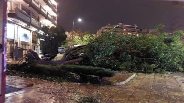 Κακοκαιρία Bora: Ήχησε το 112 σε Χαλκιδική και Λάρισα