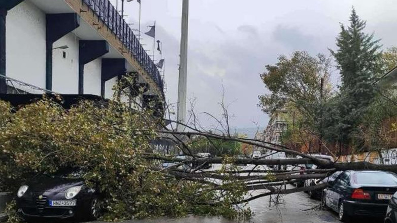 Πτώσεις δέντρων έξω από την Τούμπα λόγω της κακοκαιρίας «Bora», τα δεδομένα για το ΠΑΟΚ-Athens Kallithea