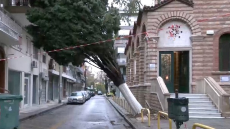 Κυπαρίσσι 20 μέτρων «λύγισε» πάνω σε πολυκατοικία