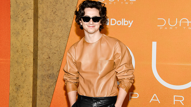 Ο Τίμοθι Σαλαμέ ευγνωμονεί τον Μπομπ Ντίλαν για τα θετικά σχόλια