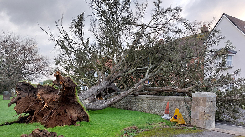 Βρετανία: Ένας νεκρός και χιλιάδες νοικοκυριά χωρίς ρεύμα από την καταιγίδα Ντάραγκ