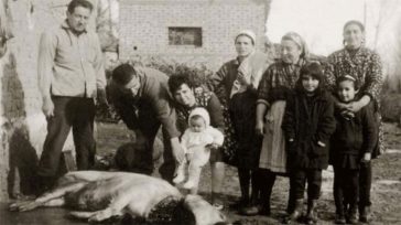 Το έθιμο της γουρνοχαράς στα χωριά του κάμπου της Καρδίτσας