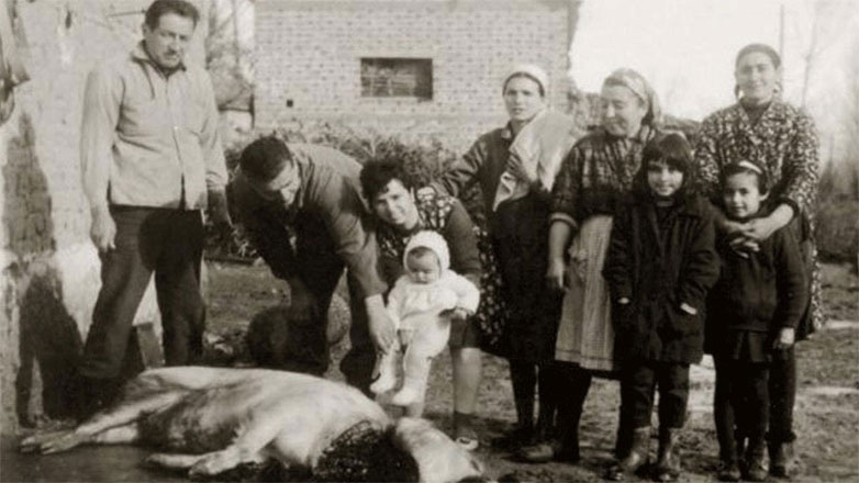 Το έθιμο της γουρνοχαράς στα χωριά του κάμπου της Καρδίτσας