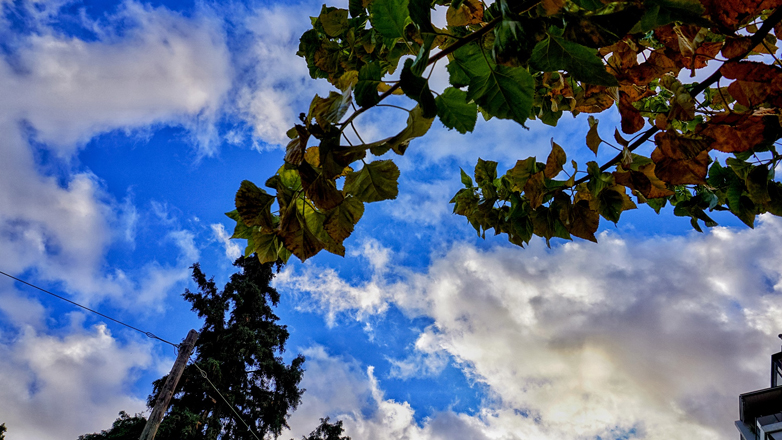 Δείτε τον καιρό μέχρι τα Θεοφάνια